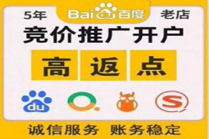 揭秘百度竞价广告：实战案例分析及优化策略